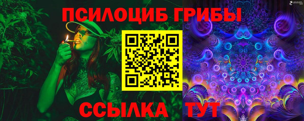 Верхняя Пышма  Галлюциногенные грибы Psilocybine cubensis  Вход с VPN  Галлюциногенные грибы Cubensis 