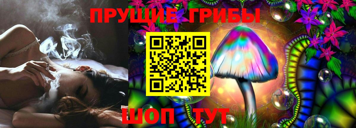 Галлюциногенные грибы прущие грибы Верхняя Пышма
